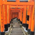 świątynia Fushimi Inari